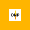 Cnpskin.com logo