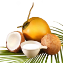 Coconutoil.com logo
