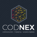 Codnex.net logo