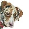 Cogdogblog.com logo