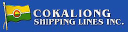 Cokaliongshipping.com logo
