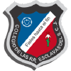 Colegioesclavas.edu.co logo