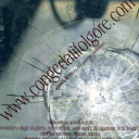 Congedatifolgore.com logo