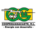Coopeguanacaste.com logo