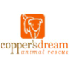 Coppersdream.org logo