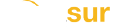 Costasur.com logo