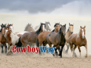 Cowboyway.com logo