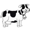 Cownetworth.com logo