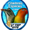 Criadoresdepassaros.com logo