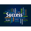 Criticaltosuccess.com logo