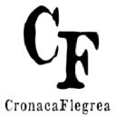 Cronacaflegrea.it logo