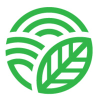 Dailydish.co.za logo