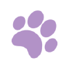 Dailypuppy.com logo