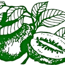 Daleysfruit.com.au logo