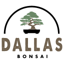 Dallasbonsai.com logo