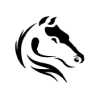 Darkhorseanalytics.com logo