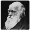 Darwinday.ir logo