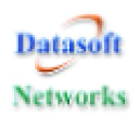 Datasoft.ws logo