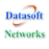 Datasoft.ws logo