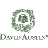 Davidaustinroses.co.uk logo