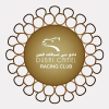 Dcrc.ae logo