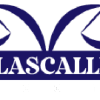 Delascalles.com logo