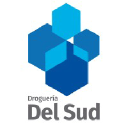 Delsud.com.ar logo