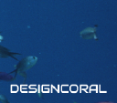 Designcoral.com logo