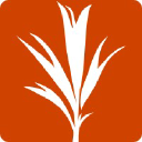 Developmentseed.org logo