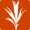 Developmentseed.org logo