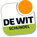 Dewitschijndel.nl logo