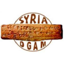 Dgam.gov.sy logo