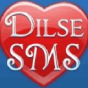 Dilsesms.com logo