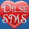 Dilsesms.com logo