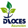 Diocesanos.es logo