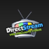 Directstream.ws logo
