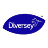 Diverseysolutions.com logo