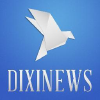 Dixinews.kz logo