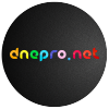 Dnepro.net logo