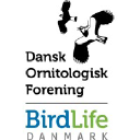Dof.dk logo