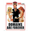 Domainking.com logo