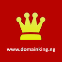 Domainking.ng logo