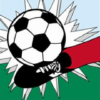 Domesoccer.jp logo