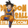 Dragonballstream.com logo