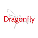 Dragonflybrand.com logo