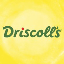 Driscolls.com logo