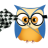 Driverowl.com logo