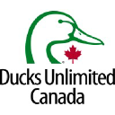 Ducks.ca logo