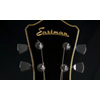 Eastmanguitars.com logo