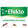 Efekto.co.za logo